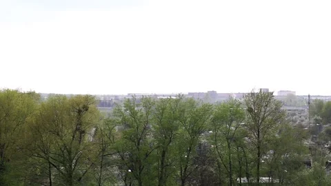 Large drops of rain and hail against the backdrop of a green forest, city and Stockbeeldmateriaal 295600986