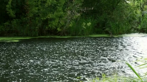 Large drops of rain on the background of the lake Video stock 86603844