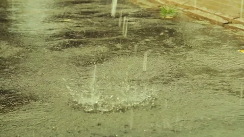Large drops of rain fall on the asphalt road. 库存影片 94740427