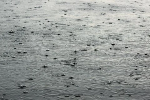 Large drops of rain falling into puddles. a cloudy, rainy daylarge drops of r 写真素材