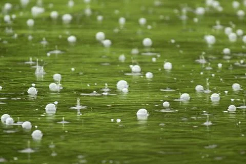 Large drops of rain falling into puddles. a cloudy, rainy daylarge drops of r 写真素材