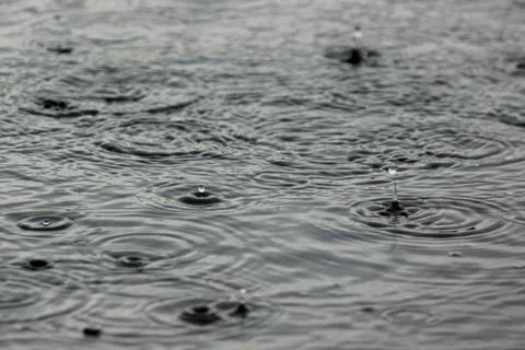 Large drops of rain falling into puddles. a cloudy, rainy daylarge drops of r Stock Photos
