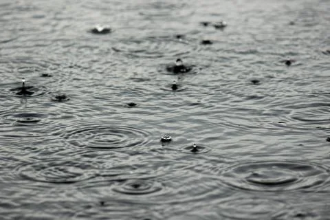 Large drops of rain falling into puddles. a cloudy, rainy daylarge drops of r Fotos de archivo