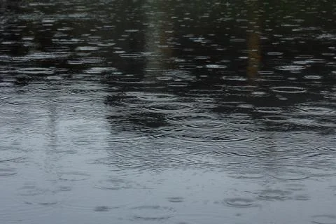 Large drops of rain falling into puddles. a cloudy, rainy daylarge drops of rain 库存照片