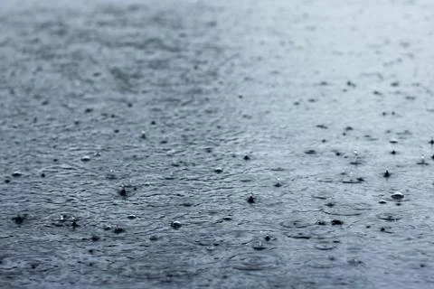 Large drops of rain falling into puddles. a cloudy, rainy daylarge drops of rain Photos