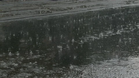 Large drops of rainwater fall on the asphalt, pavement, in a puddle Stock Footage 108617867