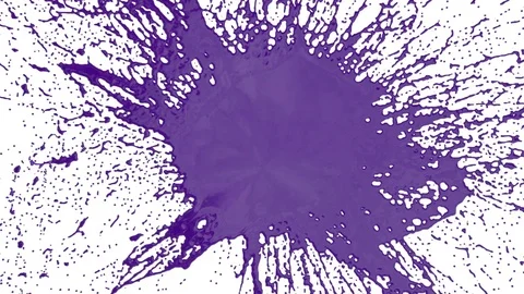 Large drops of violet paint fall on the white surface and it is stain, leaving Stock Footage