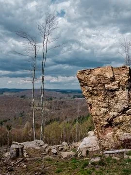 Large dry rock in the foreground and two dead trees to the side with a beau.. Stock-Fotos