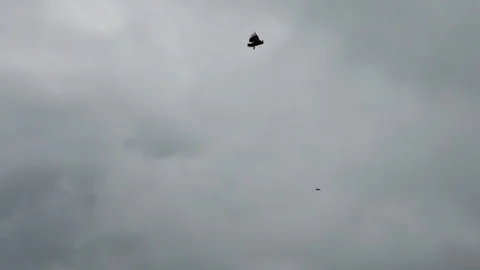 A large eagle flies majestically among the clouds Stock-Footage 289624062