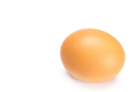 Large egg isolated on white Stock Photos