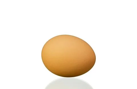 A large egg is sitting on a white background Stock Photos