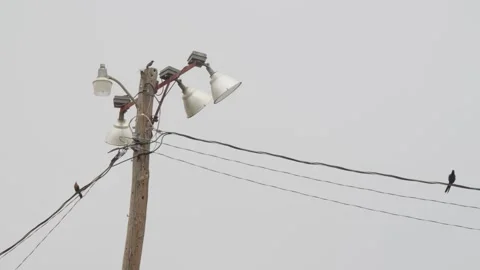 Large electrical floodlights used for lighting sports fields. Stock Footage 330432098
