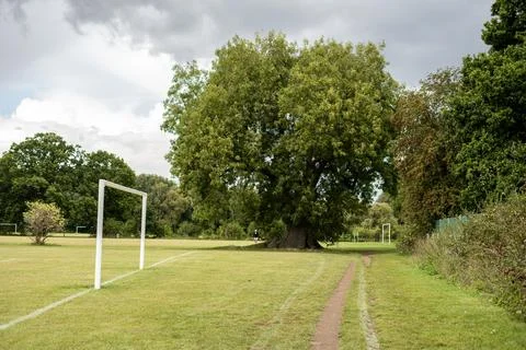 Large empty camping area in England Stock Photos