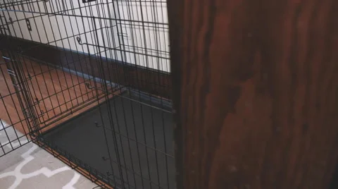 A Large Empty Pet Kennel in a Home Stock Footage 61717478