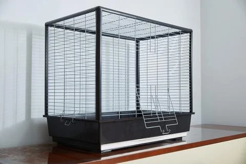 A large empty room cage for a parrot. Stock Photos