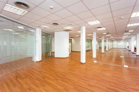 Large empty space with ceiling tiles, fluorescent lights, light brown laminate Фото