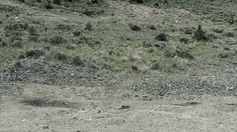 Large explosion; big shockwave. Stock Footage 52702598