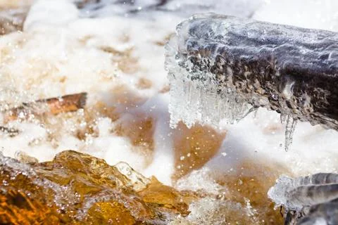 A large fallen tree is covered with a layer of ice Stock-Fotos