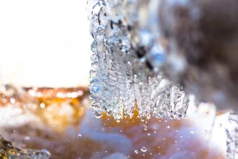 A large fallen tree is covered with a layer of ice Stock Photos