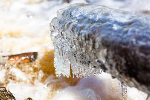 A large fallen tree is covered with a layer of ice Stock Photos
