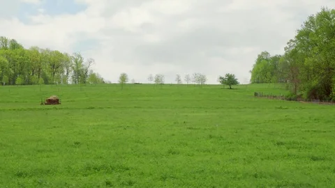 Large farm field Stock Footage 75462527