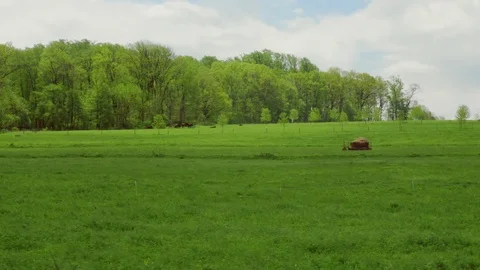 Large farm field windy day Stock Footage 75462502