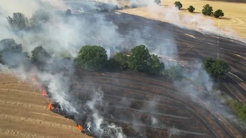 Large Farm fields on Fire England UK drone aerial smoke and flames Stock Footage 346421608