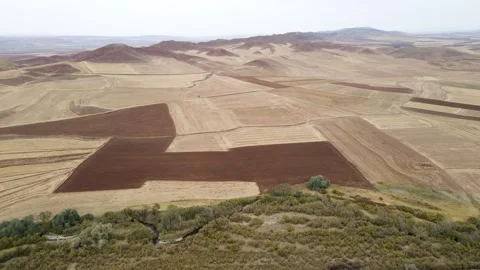 Large Farmlands Video stock 333120010