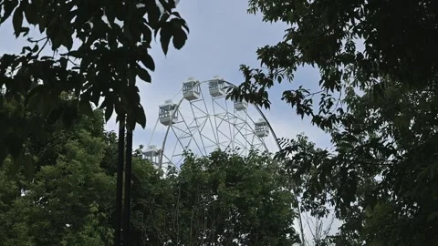 A large ferris wheel is visible through the trees in a public space. The bright Vídeo Stock 344527630