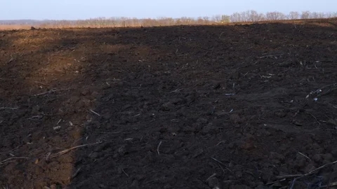 Large field with black soil Stock Footage 128624897