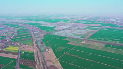 Large Field Of Blooming Yellow Rapeseed Landscape Stock Footage 235593005