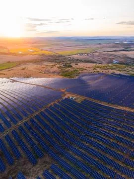 A large field is filled with solar panels as the sun sets in the background.  Stock Photos