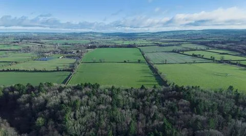 A large field of grass with trees in the background Stock Photos