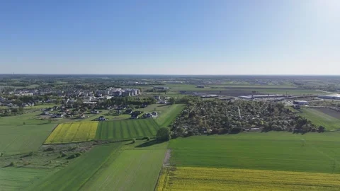 Large field of green grass with a few yellow flowers in the foreground. Stock Footage 307715922
