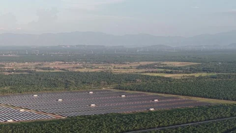 Large field with a lot of trees and a few solar panels Видео 329363013
