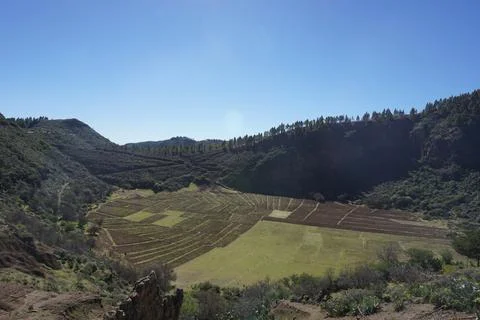 A large field with a mountain in the background Foto stock
