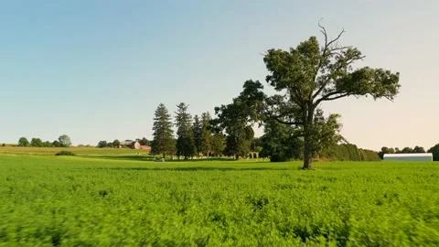Large field outside of the Gorham Cemetery. An old grave yard that with Stock Footage 235886704