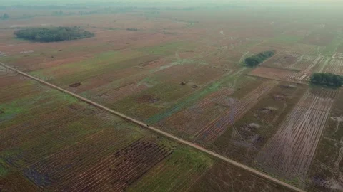 A large field with a road running through it. 스톡 동영상 319115614