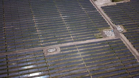 Large field with solar panels Stock-Footage 117342641
