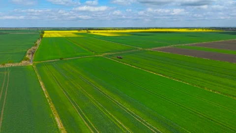 Large field with spraying tractor working on green crops under partly cloudy sky Stock Footage 311931727