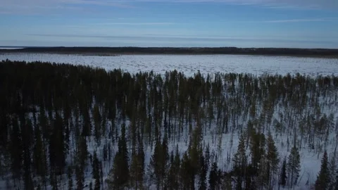 A large field with trees in the middle of it and a sky background with clouds Stock Footage 195472080