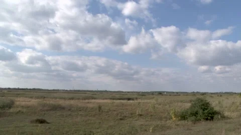 Large  field under a cloudy sky Video stock 236958651