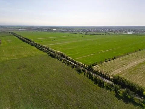Large fields of crops and grazing animals. Photos