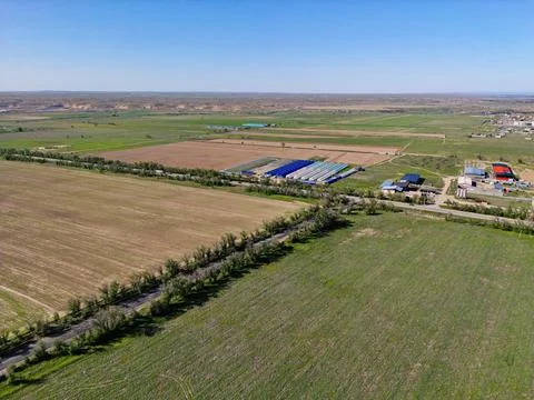 Large fields of crops and grazing animals. 스톡 사진