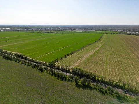 Large fields of crops and grazing animals. Photos