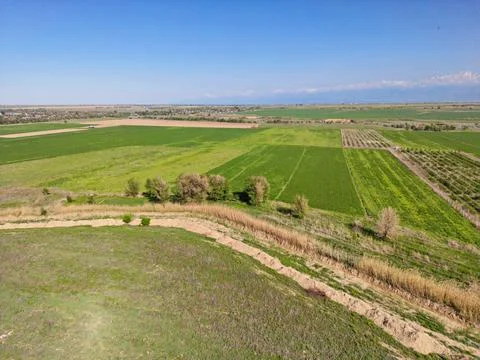 Large fields of crops and grazing animals. Stock Photos