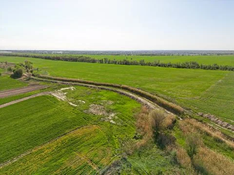 Large fields of crops and grazing animals. Stock Photos