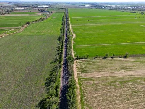 Large fields of crops and grazing animals. 스톡 사진