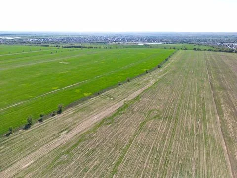 Large fields of crops and grazing animals. Stock-Fotos