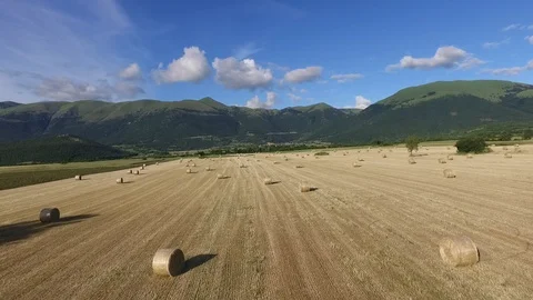 Large fields cultivated by man with hay bales by drone Stock Footage 126634926